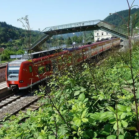 Villa Ferienhaus Ecologica Nahe Heidelberg Neckarsteinach