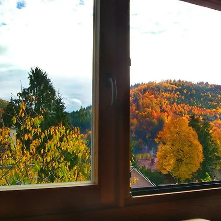 Ferienhaus Ecologica Nahe Heidelberg Villa Neckarsteinach